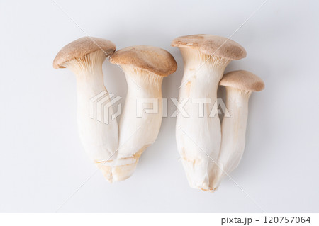 エリンギ エリンギ 120757064