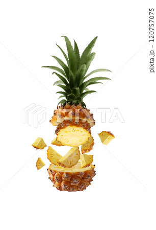 Mini Chiangrai Phulae pineapple fruit cut into slices isolated on white background. Mini pineapple from tropical Thai, exotic fruit for healthy eating. Creative pineapple slices levitation. Mini Chiangrai Phulae pineapple fruit cut into slices isolated on white background. Mini pineapple from tropical Thai, exotic fruit for healthy eating. Creative pineapple slices levitation. 120757075