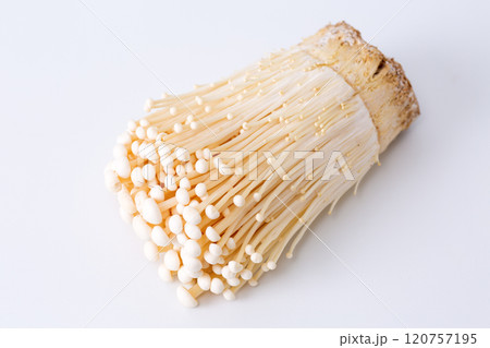 えのき えのき 120757195