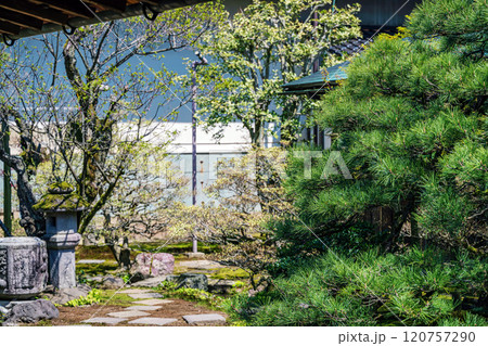 金沢 成巽閣 飛鶴庭の風景 120757290