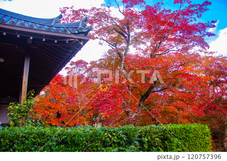 【京都風景】常寂光寺 嵐山で有数の紅葉の名所 【京都風景】常寂光寺 嵐山で有数の紅葉の名所 120757396