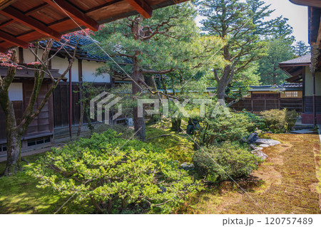 金沢 成巽閣 万年青の縁庭園 金沢 成巽閣 万年青の縁庭園 120757489