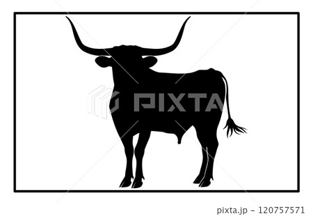 Texas Longhorn cattle icon, silhouette of a longhorn cattle Texas Longhorn cattle icon, silhouette of a longhorn cattle 120757571