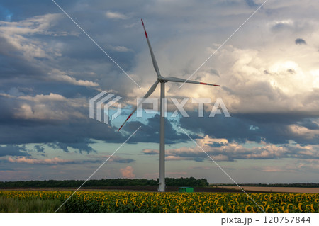 Majestic wind turbine standing tall in a field of sunflowers under a dramatic sky at dusk Majestic wind turbine standing tall in a field of sunflowers under a dramatic sky at dusk 120757844