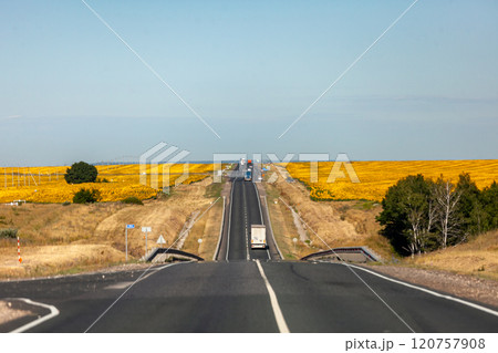 Endless highway stretches through golden fields under a clear sky on a serene summer day Endless highway stretches through golden fields under a clear sky on a serene summer day 120757908