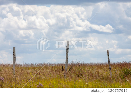 Scenic view of rustic fence posts standing tall in a golden grassy field under a bright blue sky Scenic view of rustic fence posts standing tall in a golden grassy field under a bright blue sky 120757915