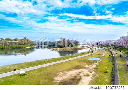 春の旭川河川敷の風景2 岡山県岡山市北区 春の旭川河川敷の風景2 岡山県岡山市北区 120757921