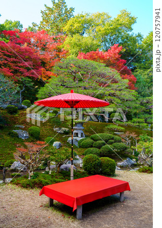 紅葉の中の野点 紅葉の中の野点 120757941