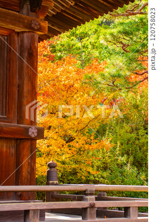 【京都風景】常寂光寺 嵐山で有数の紅葉の名所 【京都風景】常寂光寺 嵐山で有数の紅葉の名所 120758023