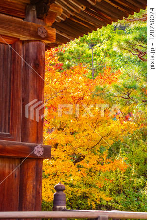 【京都風景】常寂光寺　嵐山で有数の紅葉の名所 120758024