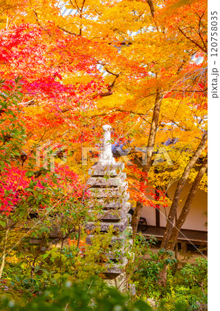 【京都風景】常寂光寺 嵐山で有数の紅葉の名所 【京都風景】常寂光寺 嵐山で有数の紅葉の名所 120758035