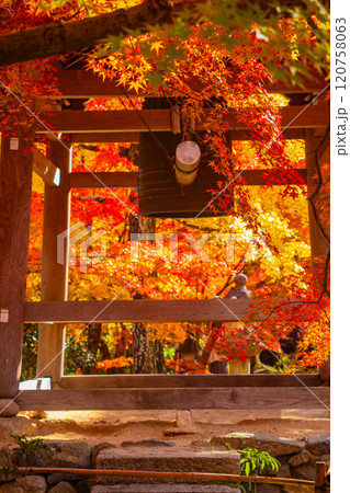 【京都風景】常寂光寺　嵐山で有数の紅葉の名所 120758063