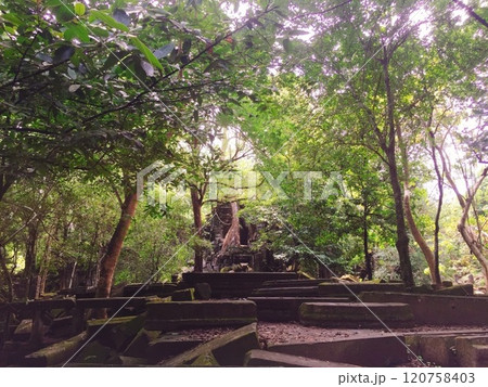 【カンボジア】木々に覆われたベン・メリア遺跡の建造物(シェムリアップ) 【カンボジア】木々に覆われたベン・メリア遺跡の建造物(シェムリアップ) 120758403