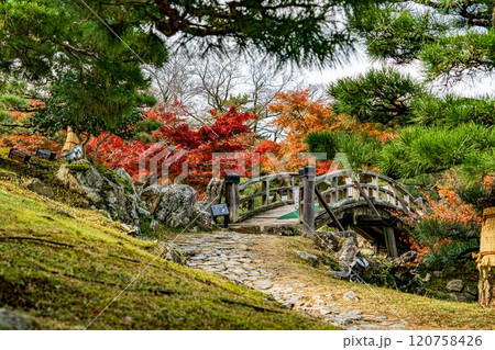 秋の紅葉に染まる玄宮楽々園 秋の紅葉に染まる玄宮楽々園 120758426