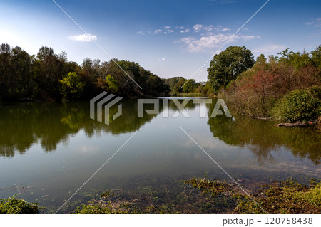 Flood In The Danube Wetlands National Park Near Vienna In Austria Flood In The Danube Wetlands National Park Near Vienna In Austria 120758438