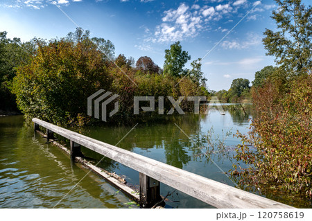 Flooded Road With Bridge Through Forest At High Water In Danube Wetlands National Park in Austria 120758619