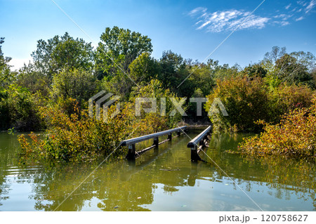 Flooded Road With Bridge Through Forest At High Water In Danube Wetlands National Park in Austria Flooded Road With Bridge Through Forest At High Water In Danube Wetlands National Park in Austria 120758627