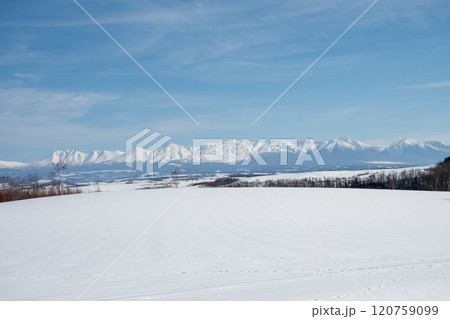 冬の晴れた日の雪原と山並み 十勝岳連峰 冬の晴れた日の雪原と山並み 十勝岳連峰 120759099