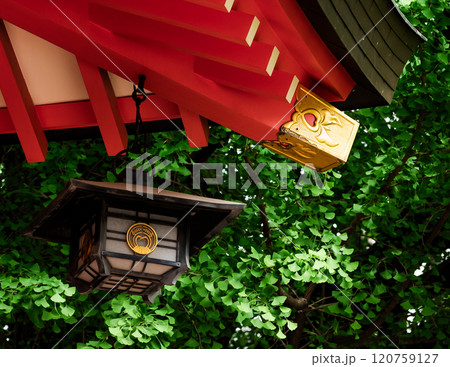 日本の神社に灯篭が吊り下げられている風景 日本の神社に灯篭が吊り下げられている風景 120759127