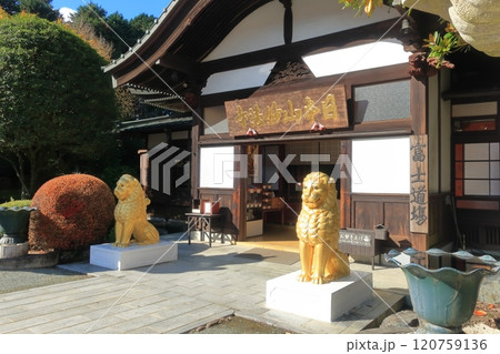 静岡県御殿場市　富士仏舎利塔平和公園　日本山妙法寺富士道場 120759136
