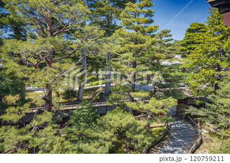 金沢 成巽閣 赤門と庭園 120759211