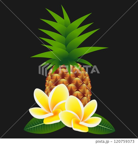 Flowers frangipani (Plumeria) with pineapple. 120759373