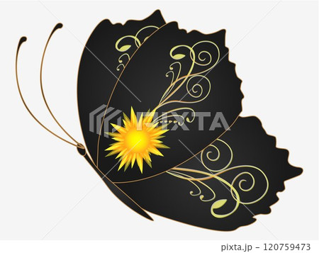 Abstract black butterfly. Abstract black butterfly. 120759473