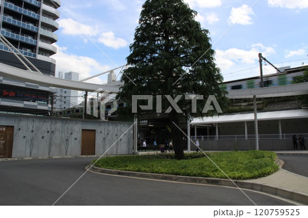 大塚駅 都営荒川線 大塚駅 都営荒川線 120759525
