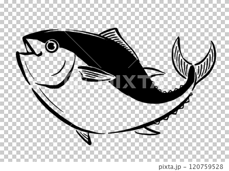 Hand-drawn line drawing of a jumping tuna 120759528