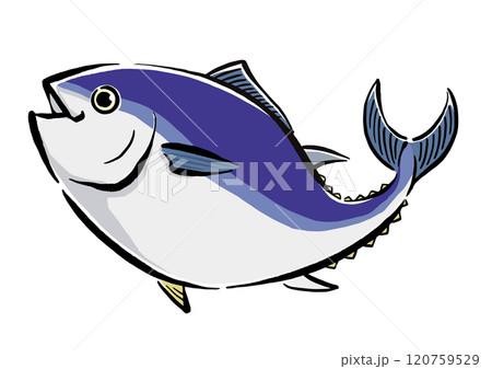 泳ぐマグロの手書きイラスト 跳ねる本マグロ 泳ぐマグロの手書きイラスト 跳ねる本マグロ 120759529