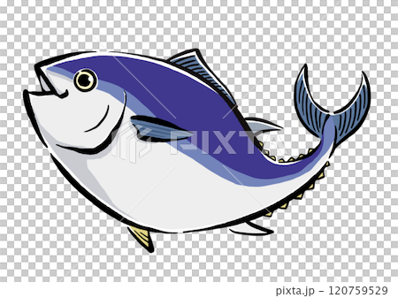 泳ぐマグロの手書きイラスト 跳ねる本マグロ 泳ぐマグロの手書きイラスト 跳ねる本マグロ 120759529