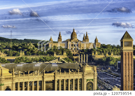 Aerial view of National Art Museum of Catalonia, Barcelona, Spain 120759554