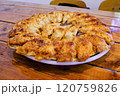 福島円盤餃子 120759826