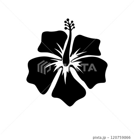 Illustration of hibiscus flower. Design element for logo, label, design. Vector illustration Illustration of hibiscus flower. Design element for logo, label, design. Vector illustration 120759866