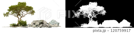 rock mountain with tree isolated on white background with clipping path 120759917