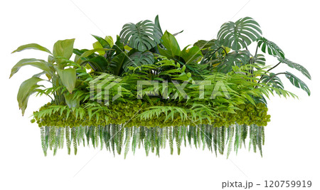 plant group  isolated on white background with clipping path 120759919
