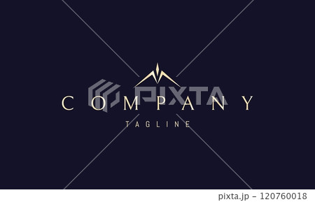 Vector golden logo with an abstract image of a drone in the form of a bird. Vector golden logo with an abstract image of a drone in the form of a bird. 120760018