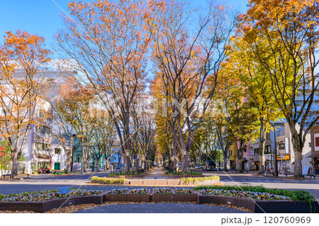晩秋の杜の都仙台を歩く 120760969