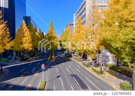 晩秋の杜の都仙台を歩く 120760982