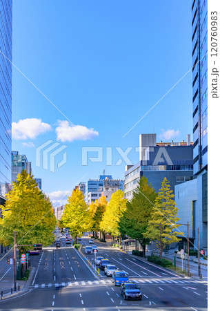 晩秋の杜の都仙台を歩く 120760983