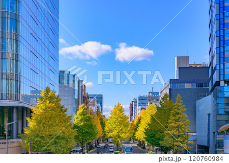 晩秋の杜の都仙台を歩く 120760984