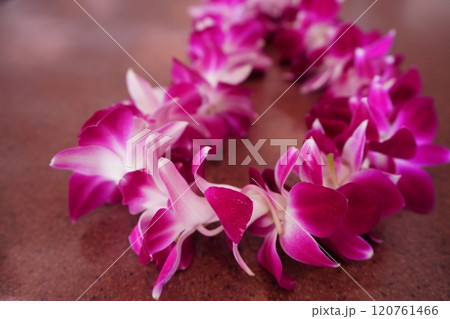 ハワイ デンファレ レイ 120761466