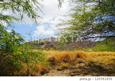 アメリカ ダイヤモンドヘッドの風景 120761850