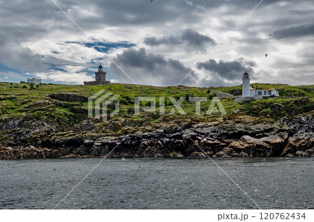 Seabird Nature Reserve Isle Of May In The Firth Of Forth In The Atlantic Ocean Near Anstruther In Scotland 120762434