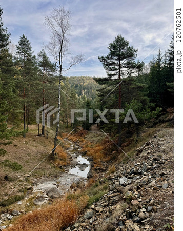 A small river mouth surrounded by autumn grass and trees in Divcibare, Serbia 120762501