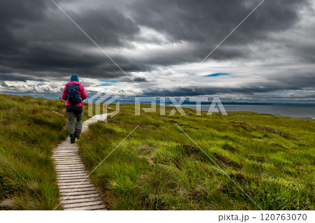 Narrow Wooden Path With Female Hiker On Seabird Protection Reserve Handa Island Near Tarbet In The Atlantic Ocean Of Scotland, UK Narrow Wooden Path With Female Hiker On Seabird Protection Reserve Handa Island Near Tarbet In The Atlantic Ocean Of Scotland, UK 120763070
