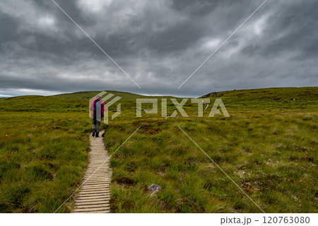 Narrow Wooden Path With Female Hiker On Seabird Protection Reserve Handa Island Near Tarbet In The Atlantic Ocean Of Scotland, UK Narrow Wooden Path With Female Hiker On Seabird Protection Reserve Handa Island Near Tarbet In The Atlantic Ocean Of Scotland, UK 120763080