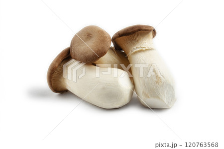fresh eringi mushrooms, raw, royal oyster mushrooms, three pieces on a white background, isolate, Asian cuisine, no people fresh eringi mushrooms, raw, royal oyster mushrooms, three pieces on a white background, isolate, Asian cuisine, no people 120763568