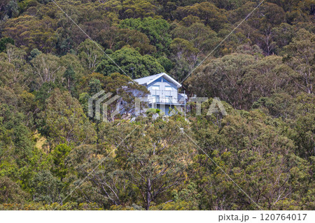 Remote living off the grid in a large forest Remote living off the grid in a large forest 120764017