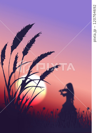 Violinist in nature in the middle of the grass at dawn 120764692